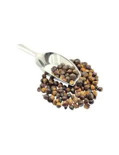 Guarana Seeds Herbal Tea (Paullinia cupana)