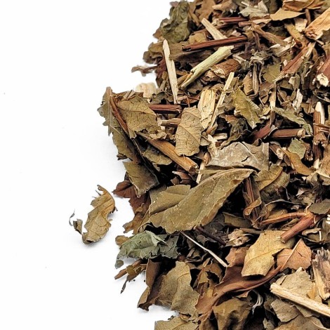 Tutsan St. John's Wort Herbal Tea (Hypericum androsaemum)