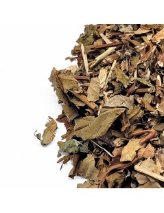 Tutsan St. John's Wort Herbal Tea (Hypericum androsaemum)