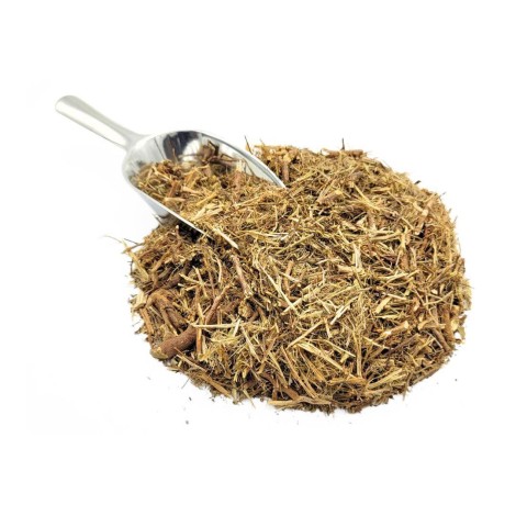 Stonebreaker Herbal Tea (Phyllanthus niruri)