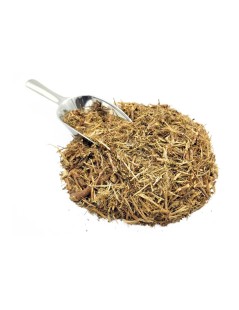 Stonebreaker Herbal Tea (Phyllanthus niruri)