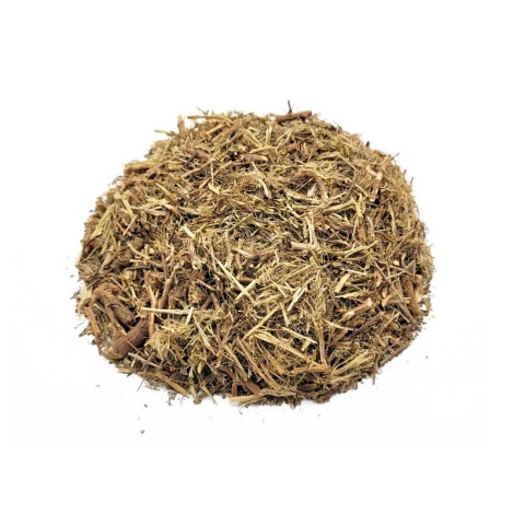 Stonebreaker Herbal Tea (Phyllanthus niruri)