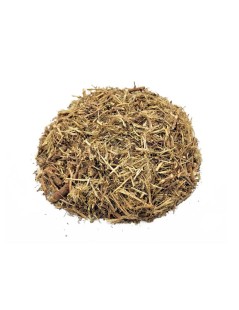 Stonebreaker Herbal Tea (Phyllanthus niruri)