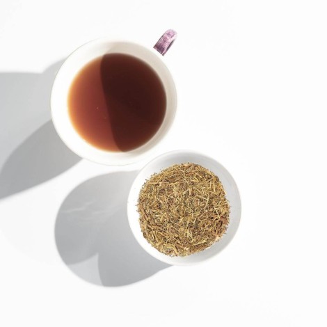 Stonebreaker Herbal Tea (Phyllanthus niruri)