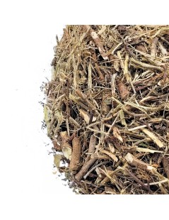 Stonebreaker Herbal Tea (Phyllanthus niruri)