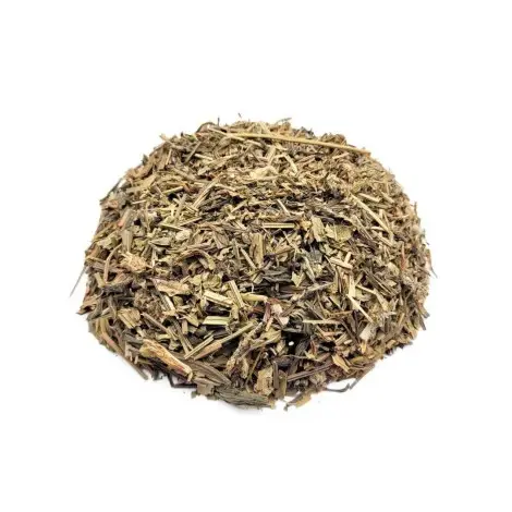 Piantaggine, Foglie (Plantago major)