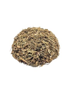 Plantain, feuilles (Plantago major L.)