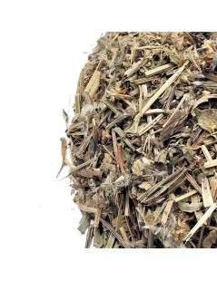 Plantain Herbal Tea leaves (Plantago major)