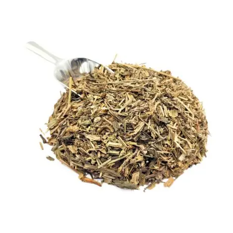 Piantaggine, Foglie (Plantago major)