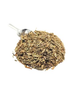 Piantaggine, Foglie (Plantago major)