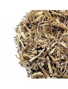 Urtiga, Raiz (Urtica dioica)