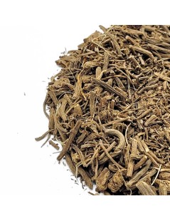 Valeriana, Radice (Valeriana officinalis L.)