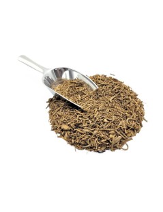 Valeriana, Raiz (Valeriana officinalis L.)