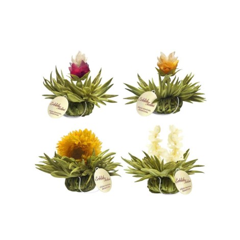 Pack 4 Blumen Tee Tealini