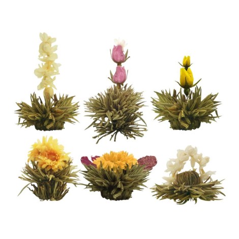 Pack com 10 Flores de Chá