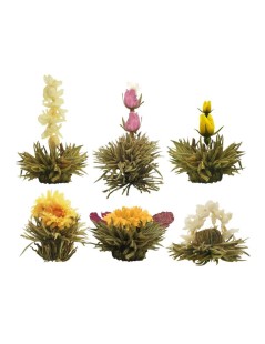 10er-Pack Blumen-Tee