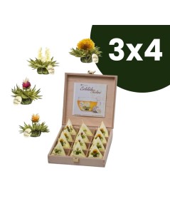 Holzkiste Tealini mit 12 Teeblumen