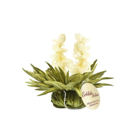 Tealini - Jasmine Blooming Tea Pearl