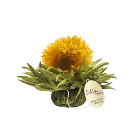 Tealini - Vanilla Blooming Tea Pearl
