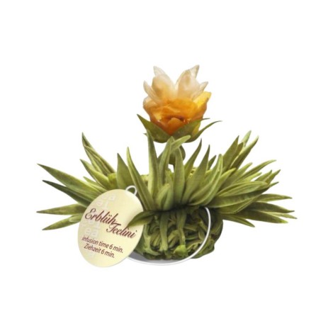 Tealini - Lemon Blooming Tea Pearl