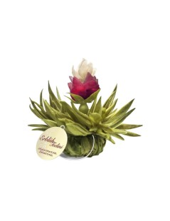 Tealini Peach Blooming Tea Pearl
