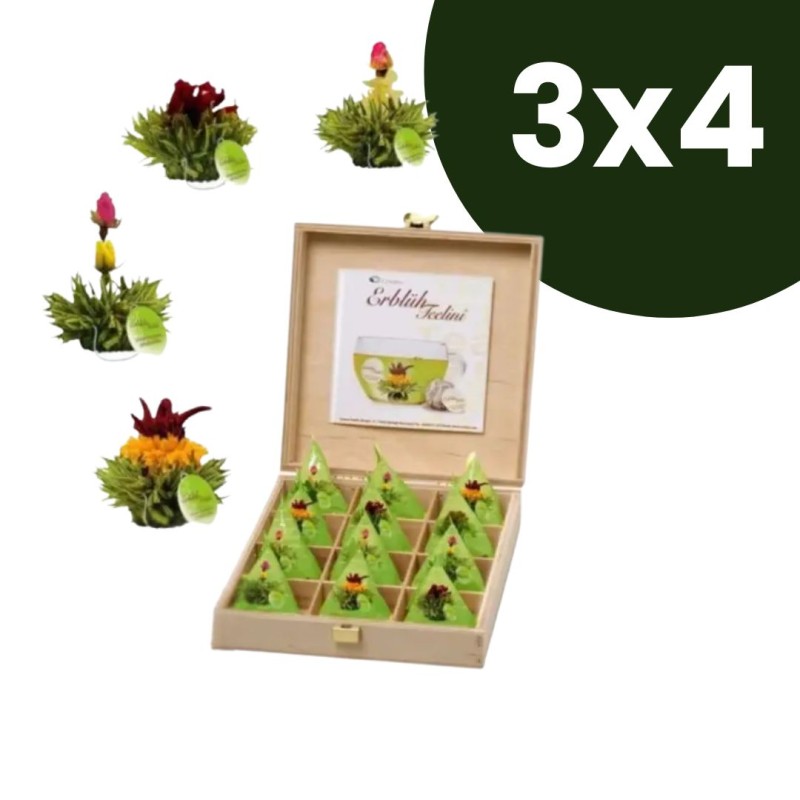 Boîte en Bois Tealini avec 12 Fleurs de Thé Vert