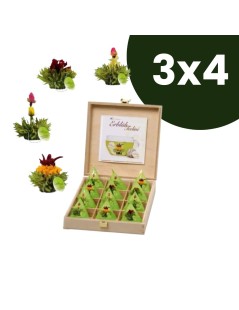 Caixa de Madeira Tealini - 12 Flores de Chá Verde