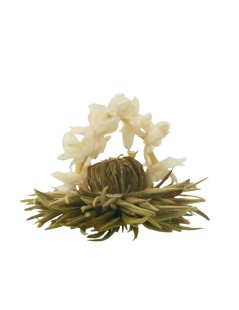 Fleur De Thé Nuage D'Argent