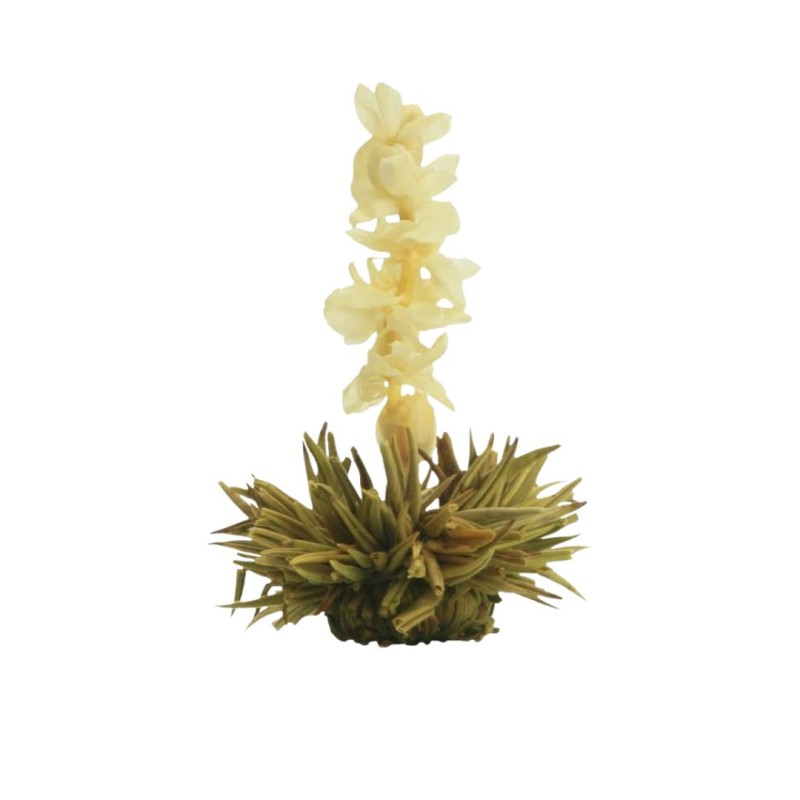 Flor de Chá - Pérola Branca