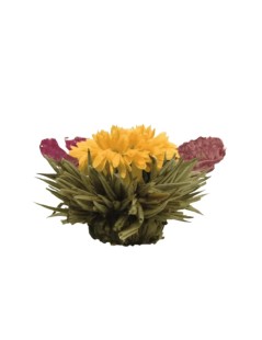 Flor de Té - La Reina del Oro