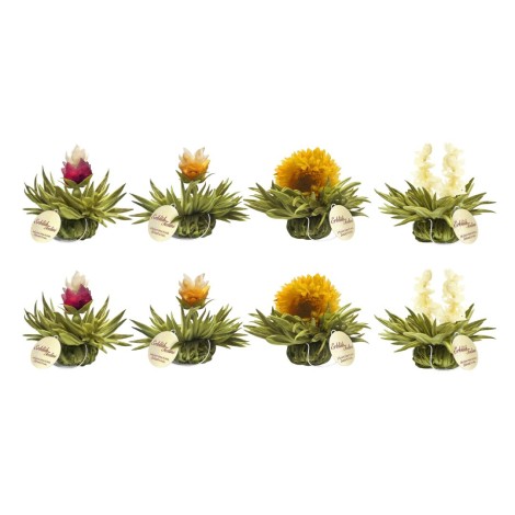 Tealini Box with Cup and 8 Blooming Teas | Blossom Teas | Flowering Tea