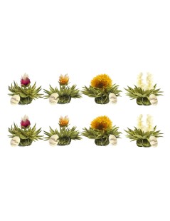 Tealini Box with Cup and 8 Blooming Teas