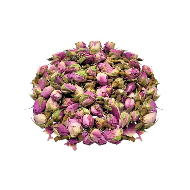 Botões de Rosa Púrpura