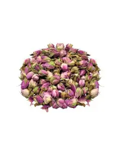 Botões de Rosa Púrpura