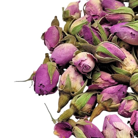 Boutons de Roses Violettes