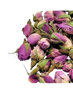 Boutons de Roses Violettes