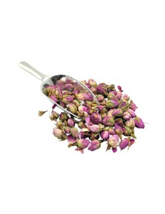 Capullos de Rosa Púrpura