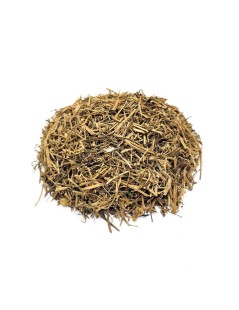 Erdrauch, pflanze (Fumaria officinalis)