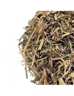 Fumeterre ou Pied-de-Céline (Fumaria officinalis)