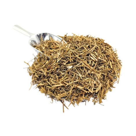 Té de Fumaria officinalis