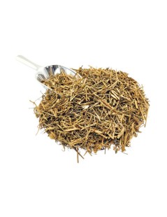 Té de Fumaria officinalis