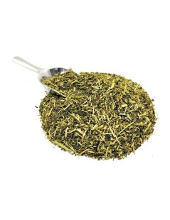 Fleur de la Passion (Passiflora incarnata) - Premium