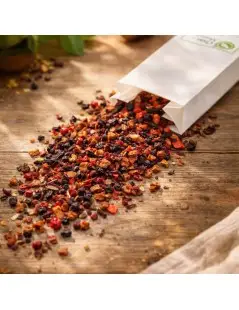 Conjunto de Infusões Iced Teas