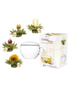 Boîte de Tealini avec 8 Fleurs de Thé et Coupe en Verre | Thé Blanc Abloom