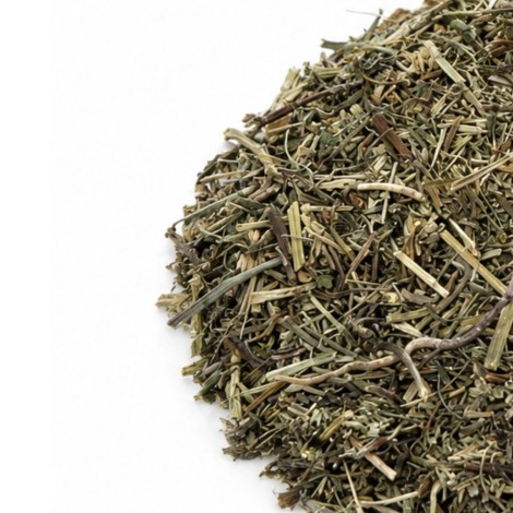 Tisana di Crisantello Americano: Fegato, Circolazione e Digestione