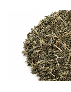 Tisana di Crisantello Americano: Fegato, Circolazione e Digestione
