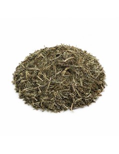Tisana di Crisantello Americano: Fegato, Circolazione e Digestione