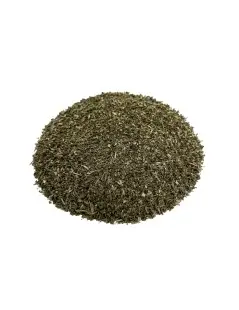 Tè di Echinacea Pianta: Difese Naturali e Sistema Immunitario
