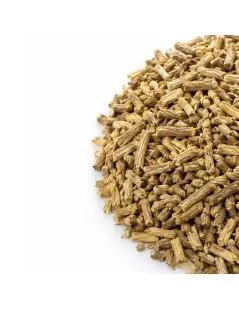 Ginseng Indiano, Ashwagandha (Withania Somnifera)