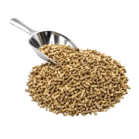 Ginseng Indiano, Ashwagandha (Withania Somnifera)